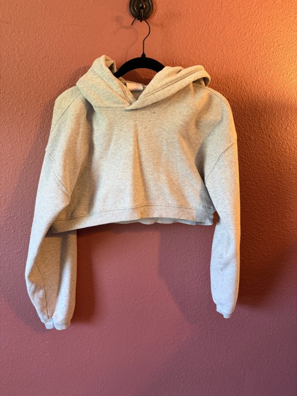 Aritzia Cropped Hoodie Pullover - Light Heather Gray